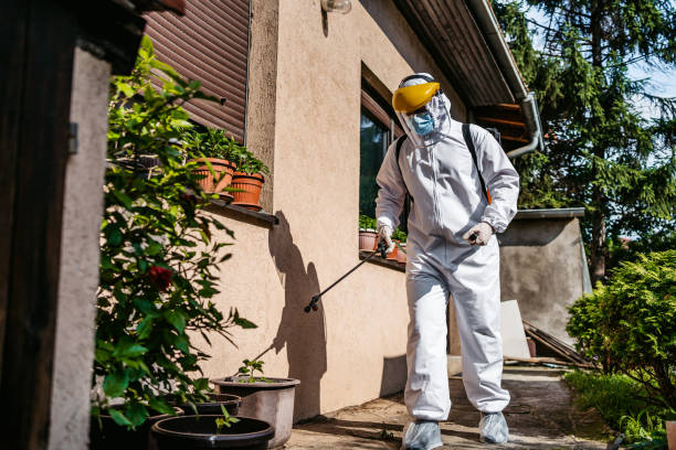 Best Wildlife Control Services  in Mexico Beach, FL