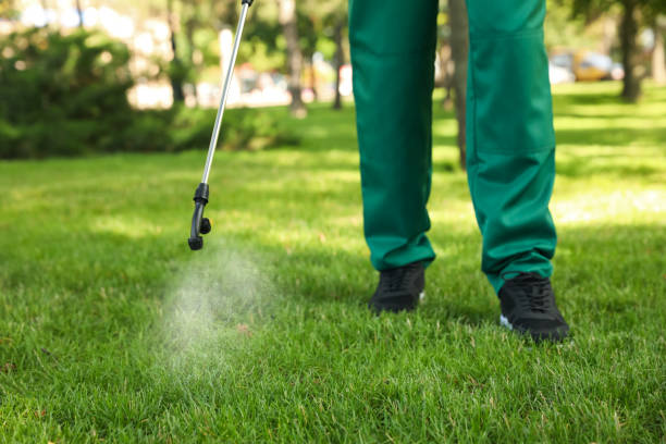 Best Ant Control Services  in Mexico Beach, FL